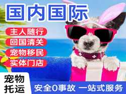 三亚航空物流国际宠物托运 【国